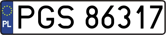 PGS86317