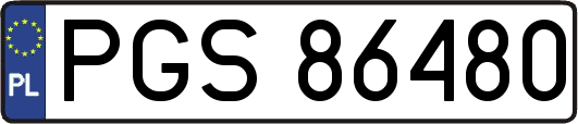PGS86480