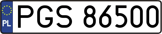 PGS86500