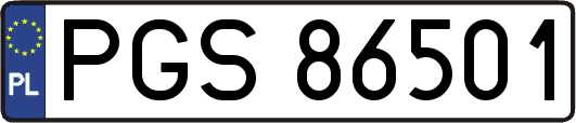 PGS86501