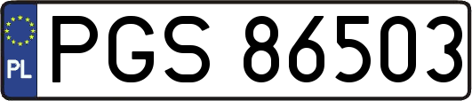 PGS86503