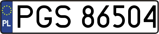 PGS86504