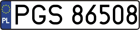 PGS86508