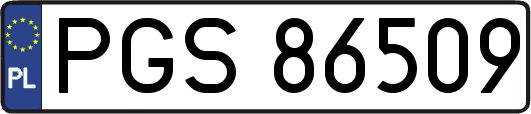 PGS86509