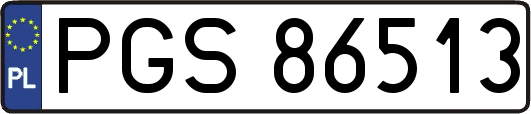 PGS86513
