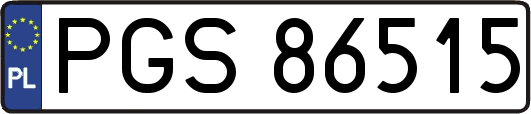 PGS86515
