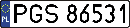 PGS86531