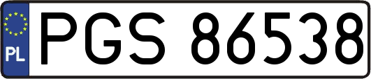 PGS86538