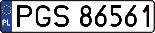 PGS86561