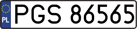 PGS86565
