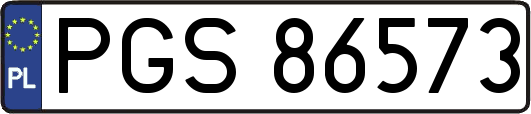 PGS86573