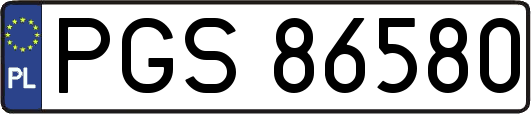 PGS86580