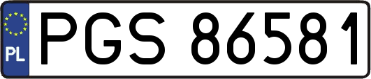 PGS86581