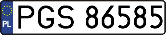 PGS86585