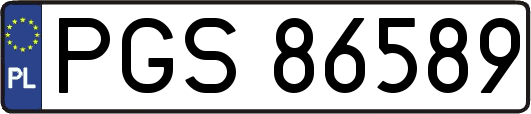 PGS86589