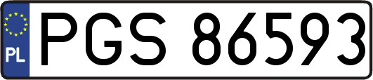 PGS86593