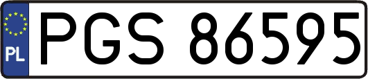 PGS86595