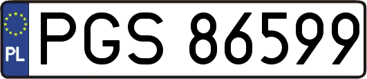PGS86599