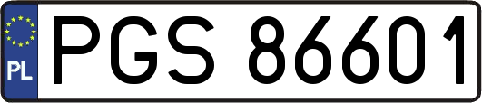 PGS86601