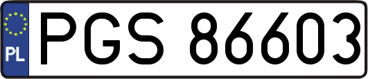 PGS86603