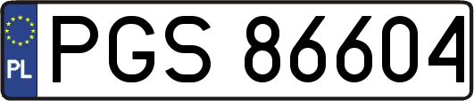 PGS86604