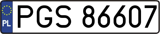 PGS86607
