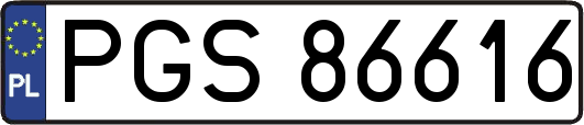 PGS86616
