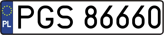 PGS86660