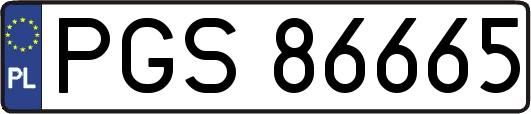 PGS86665