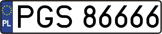 PGS86666