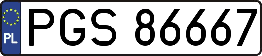 PGS86667
