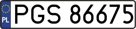 PGS86675