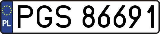 PGS86691