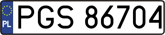 PGS86704