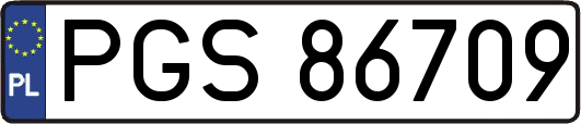PGS86709