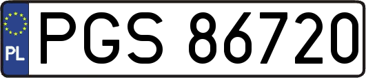 PGS86720