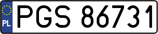 PGS86731