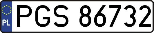 PGS86732