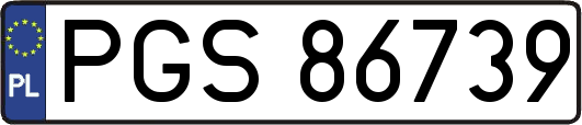 PGS86739