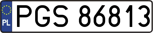 PGS86813