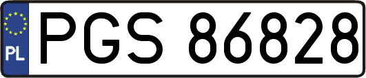PGS86828