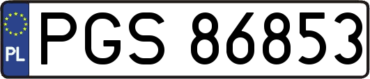 PGS86853