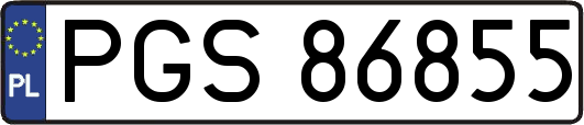 PGS86855
