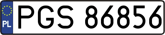PGS86856