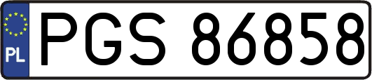 PGS86858