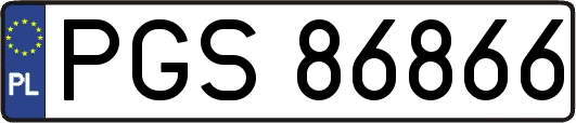 PGS86866