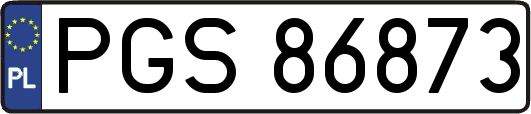 PGS86873