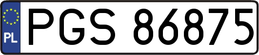PGS86875
