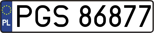 PGS86877