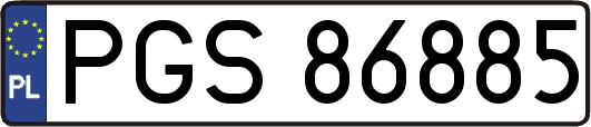 PGS86885